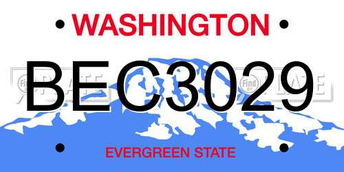 BEC3029 Washington License Plate