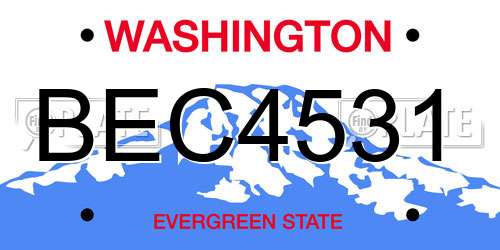 BEC4531 Washington License Plate