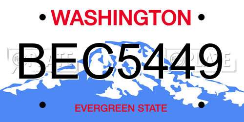 BEC5449 Washington License Plate