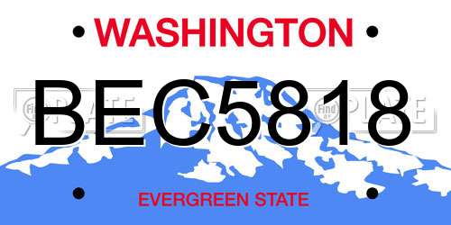 BEC5818 Washington License Plate