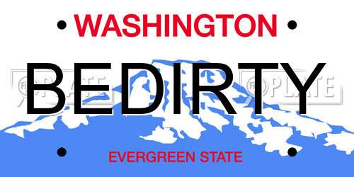 BEDIRTY Washington License Plate