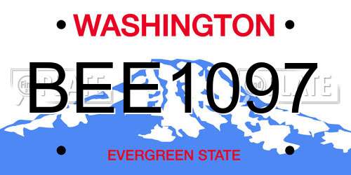 BEE1097 Washington License Plate