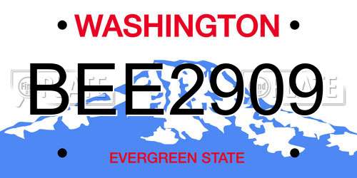BEE2909 Washington License Plate