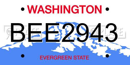 BEE2943 Washington License Plate