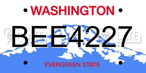 BEE4227 Washington License Plate