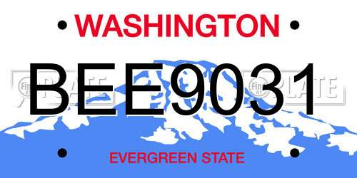 BEE9031 Washington License Plate