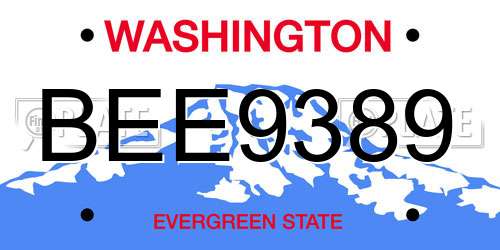 BEE9389 Washington License Plate