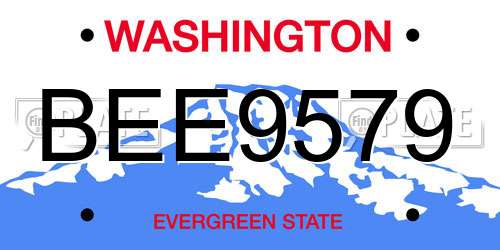 BEE9579 Washington License Plate
