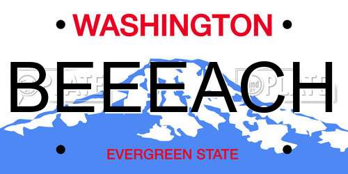 BEEEACH Washington License Plate