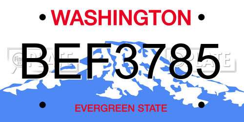 BEF3785 Washington License Plate