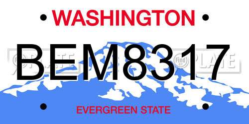 BEM8317 Washington License Plate