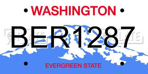 BER1287 Washington License Plate