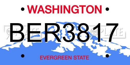 BER3817 Washington License Plate