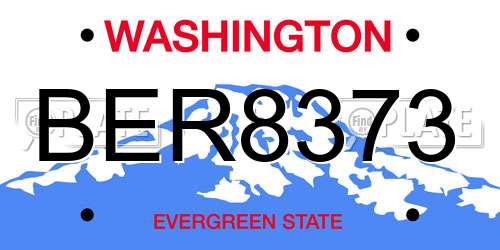 BER8373 Washington License Plate