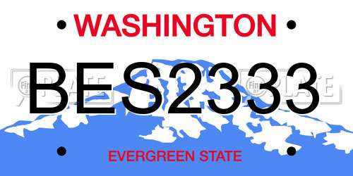 BES2333 Washington License Plate