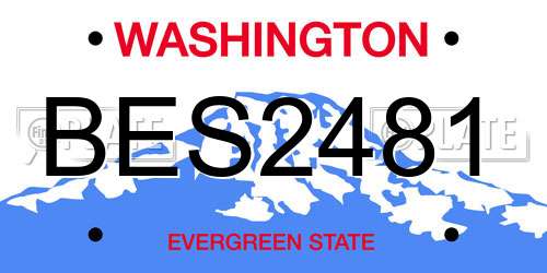 BES2481 Washington License Plate
