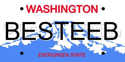 BESTEEB Washington License Plate