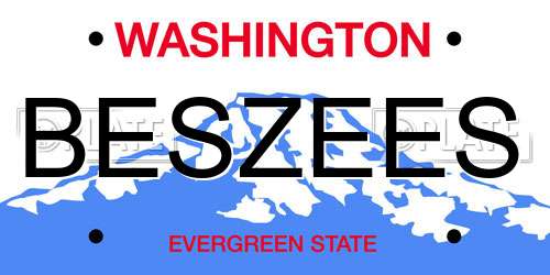 BESZEES Washington License Plate