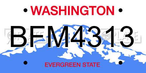 BFM4313 Washington License Plate