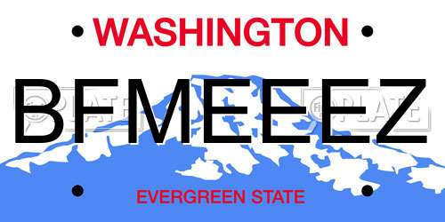 BFMEEEZ Washington License Plate