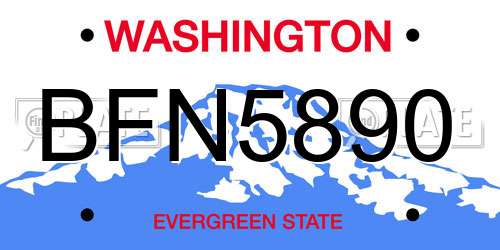 BFN5890 Washington License Plate