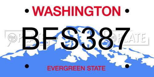 BFS387 Washington License Plate