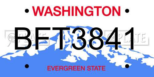 BFT3841 Washington License Plate