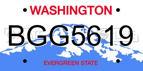 BGG5619 Washington License Plate