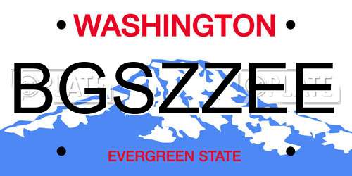 BGSZZEE Washington License Plate