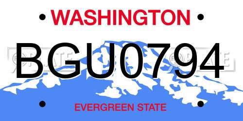 BGU0794 Washington License Plate