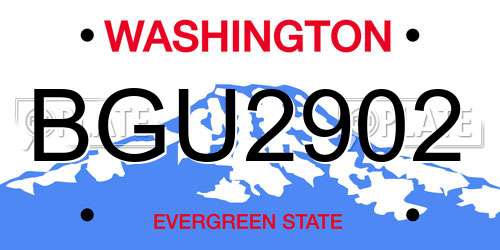 BGU2902 Washington License Plate