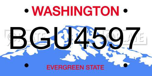 BGU4597 Washington License Plate