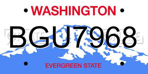 BGU7968 Washington License Plate