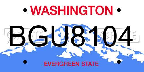 BGU8104 Washington License Plate