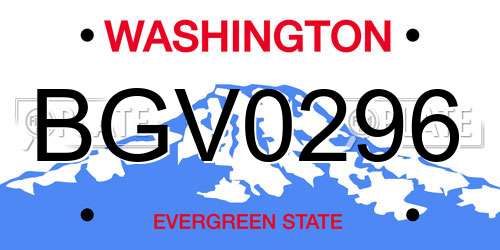 BGV0296 Washington License Plate