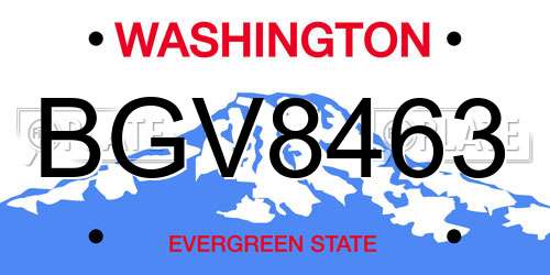 BGV8463 Washington License Plate