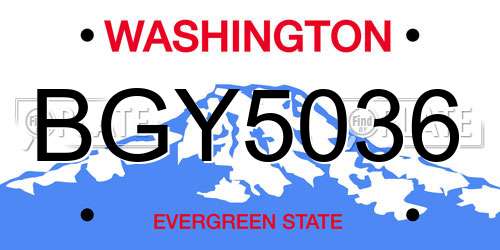 BGY5036 Washington License Plate