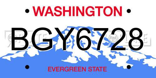 BGY6728 Washington License Plate