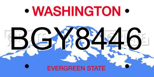 BGY8446 Washington License Plate