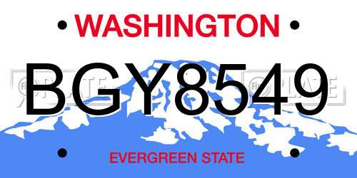 BGY8549 Washington License Plate