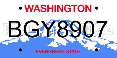 BGY8907 Washington License Plate