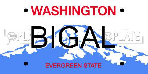 BIGAL Washington License Plate