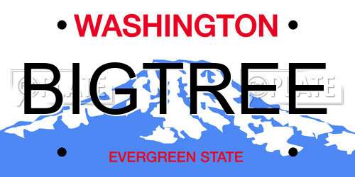 BIGTREE Washington License Plate