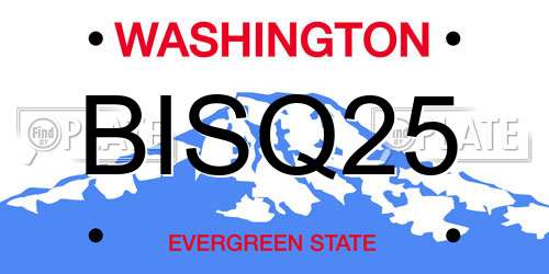 BISQ25 Washington License Plate
