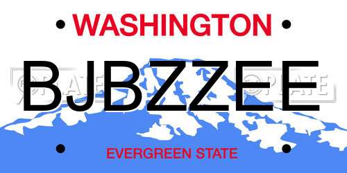 BJBZZEE Washington License Plate