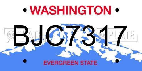 BJC7317 Washington License Plate