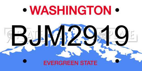 BJM2919 Washington License Plate