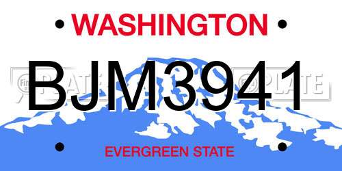 BJM3941 Washington License Plate