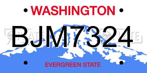 BJM7324 Washington License Plate
