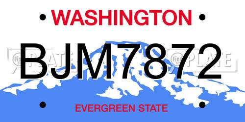 BJM7872 Washington License Plate